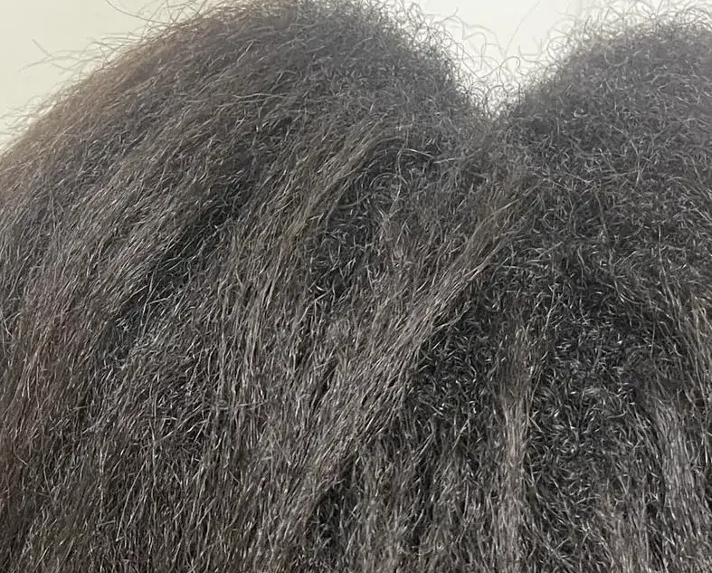 Picture of someone's long heat damaged hair